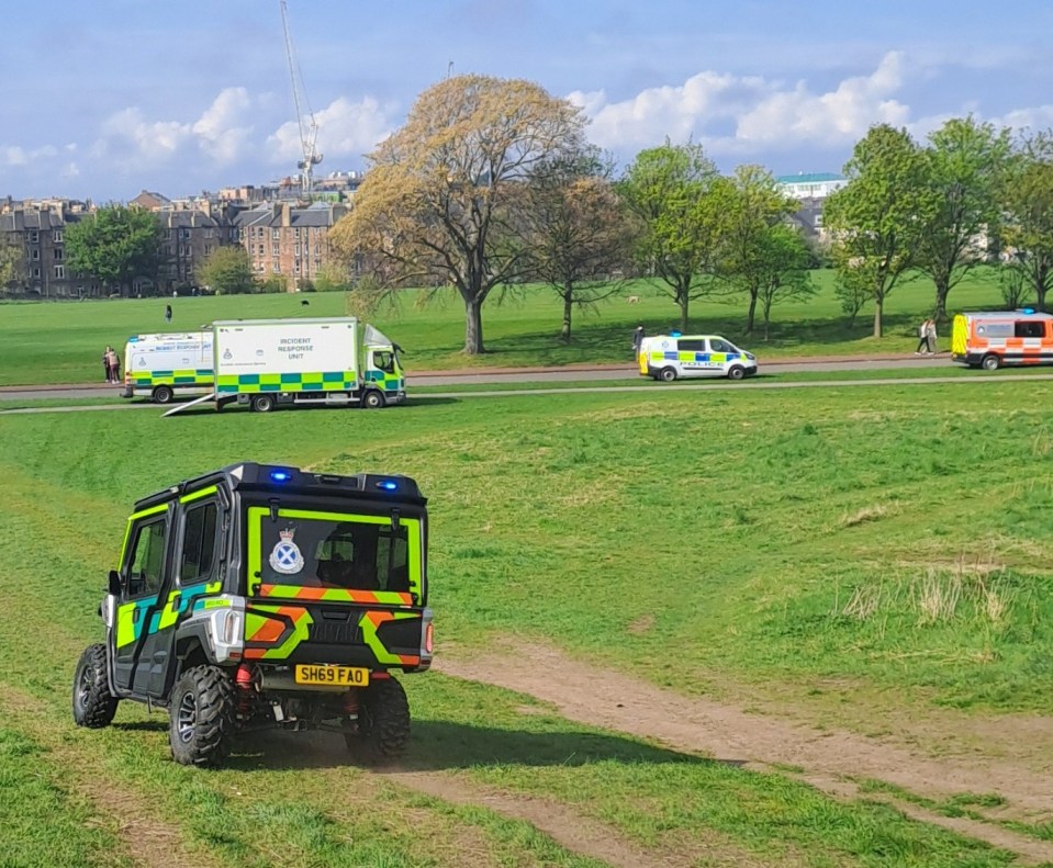 Emergency vehicles and personnel responding to an incident in a park.