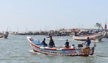 ‘Fishing in the dark’: Spain accused of turning a blind eye to illegal fishing in West Africa