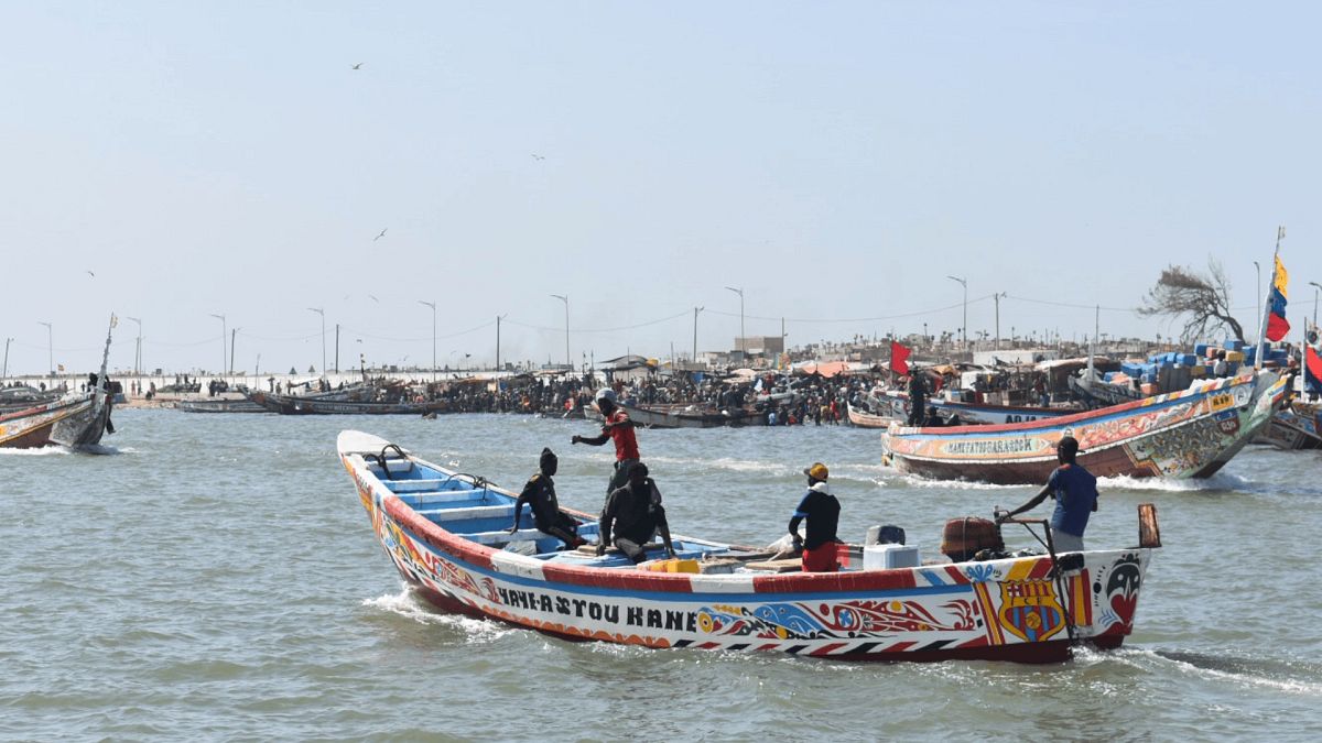 ‘Fishing in the dark’: Spain accused of turning a blind eye to illegal fishing in West Africa