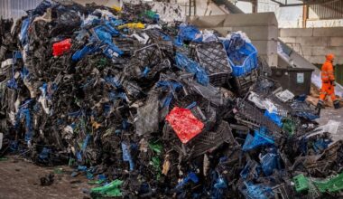 ‘Fossil fuels in another form’: Plastic recycling rate stagnates at under 10%, report finds