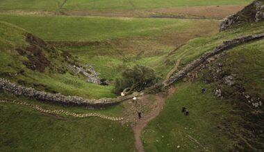 Sycamore Gap tree felling was a 'deliberate and mindless' act, UK prosecutor says