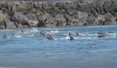 Watch an Aggro Seal Chase Surfers Out of the Water at the Wedge