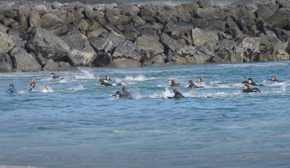 Watch an Aggro Seal Chase Surfers Out of the Water at the Wedge