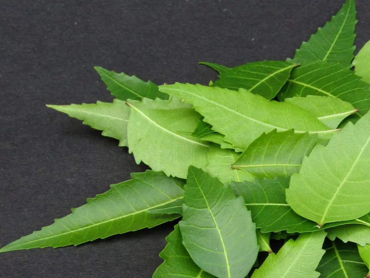 ​10 benefits of consuming tender neem leaves in early summer​