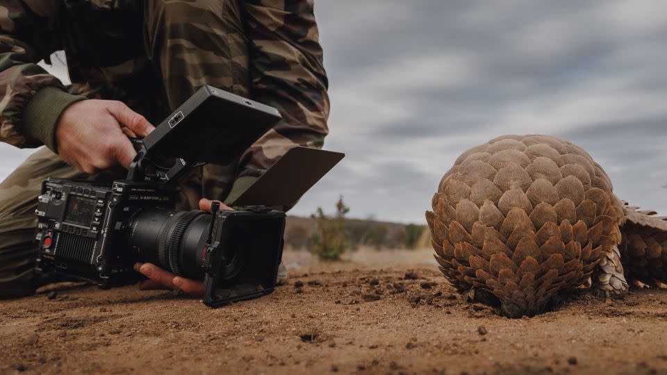 The team used macro photography to immerse viewers in Kulu's world. - Warren Smart/Netflix