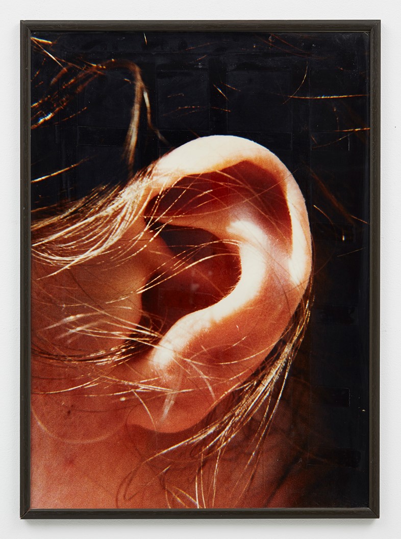 Typologien: Photography in 20th Century Germany