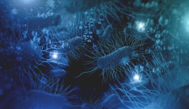 Toxin produced by E. coli ‘could be driving bowel cancer rates in young people’ - London Evening Standard
