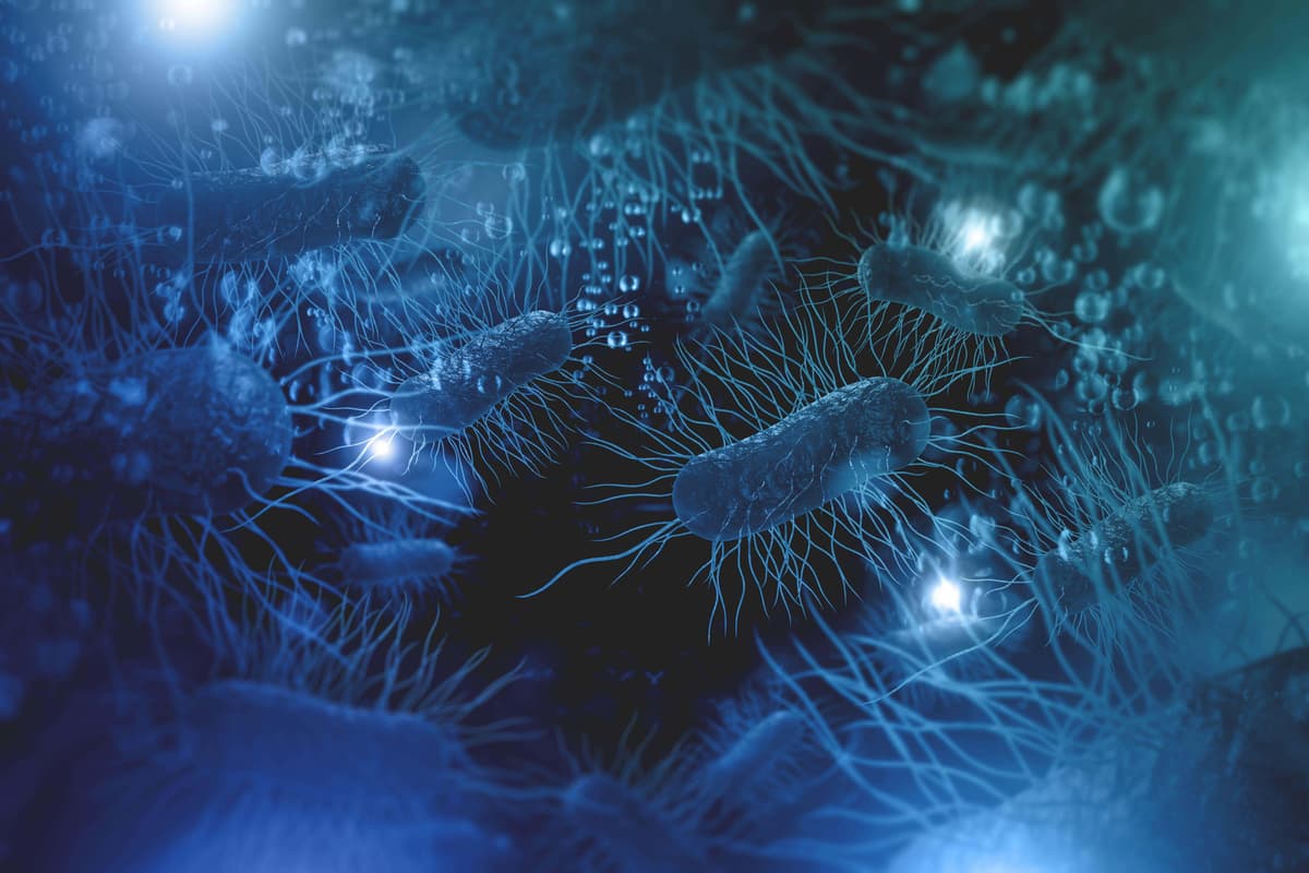 Toxin produced by E. coli ‘could be driving bowel cancer rates in young people’ - London Evening Standard