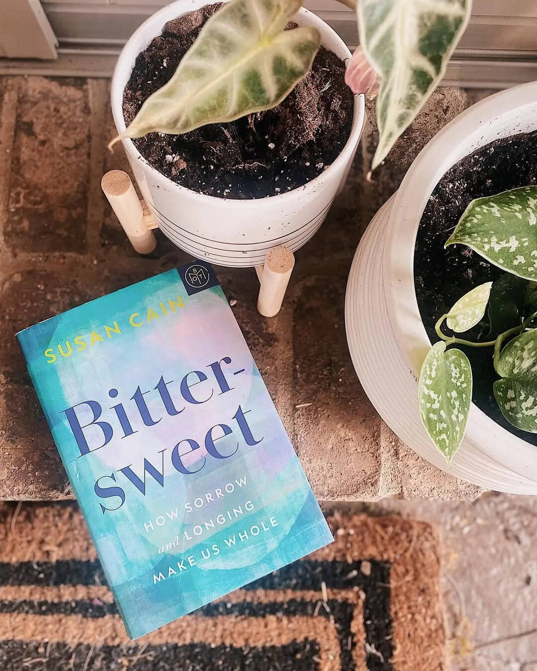 Bittersweet by Susan Cain
