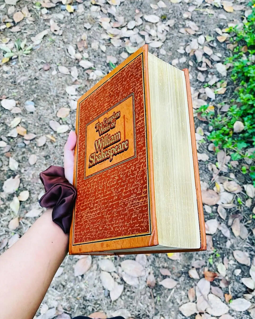 The Complete Works of William Shakespeare