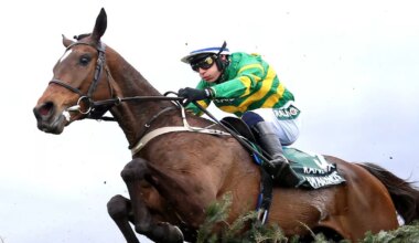 Grand National 2025 runners - full list of confirmed horses at five-day entry stage