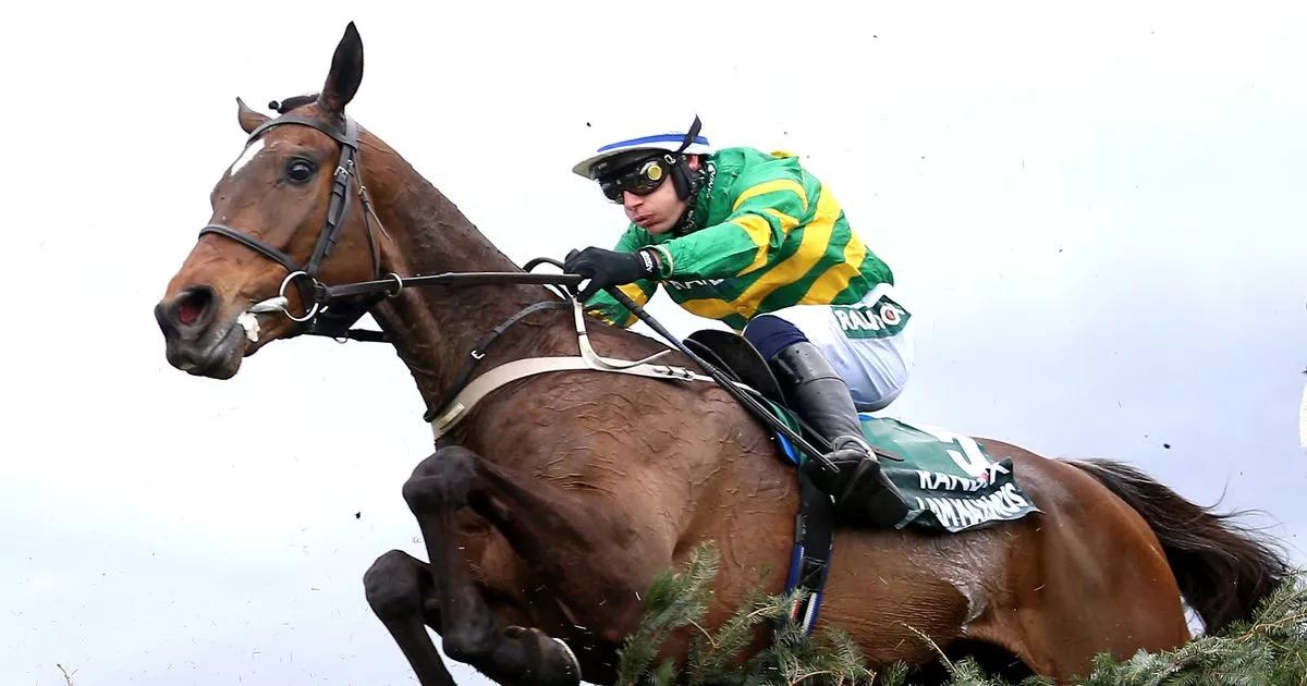 Grand National 2025 runners - full list of confirmed horses at five-day entry stage
