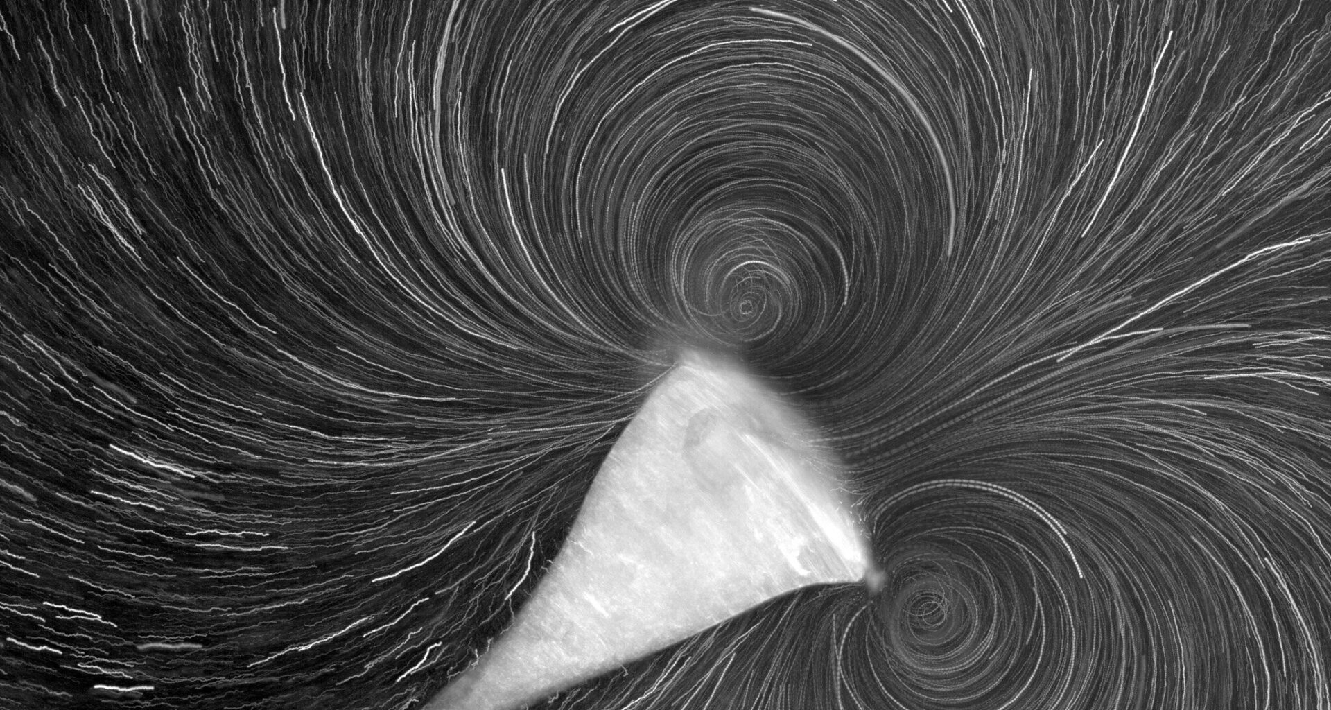 Physical forces encouraged evolution of multicellular life, scientists propose