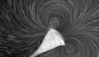 Physical forces encouraged evolution of multicellular life, scientists propose