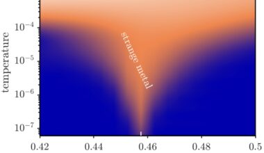 Study proposes new mechanism underpinning intrinsic strange metal behavior