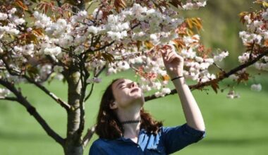 Exact date 23C mini-heatwave hits UK and when it will end