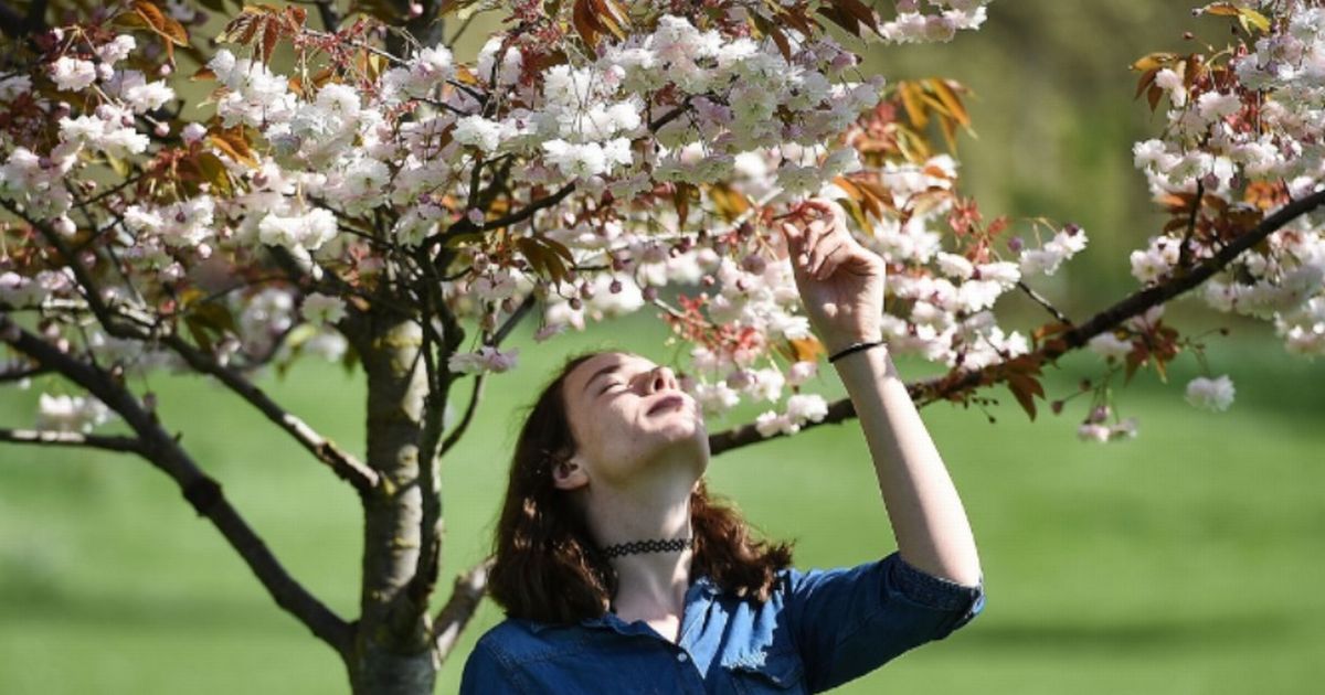 Exact date 23C mini-heatwave hits UK and when it will end