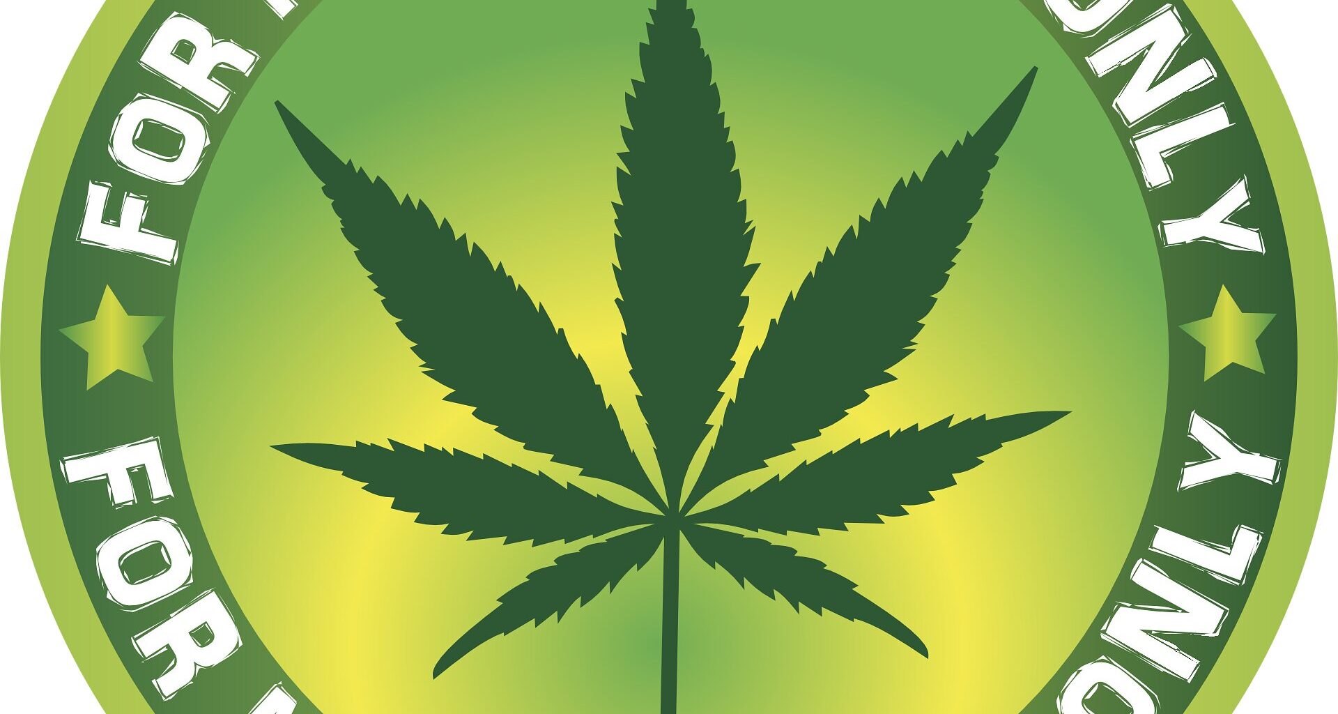 Medicinal cannabis linked to long-term benefits in health-related quality of life