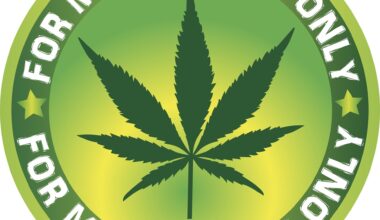 Medicinal cannabis linked to long-term benefits in health-related quality of life