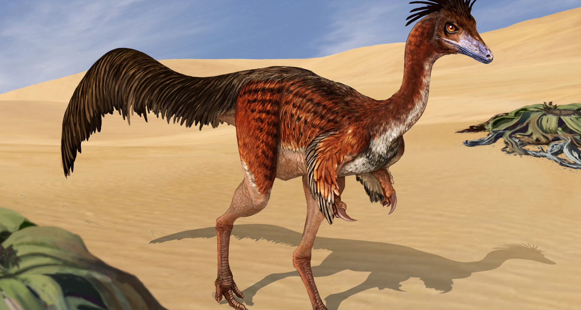 Air pockets found in bones of Alvarezsauridae skeleton for the first time
