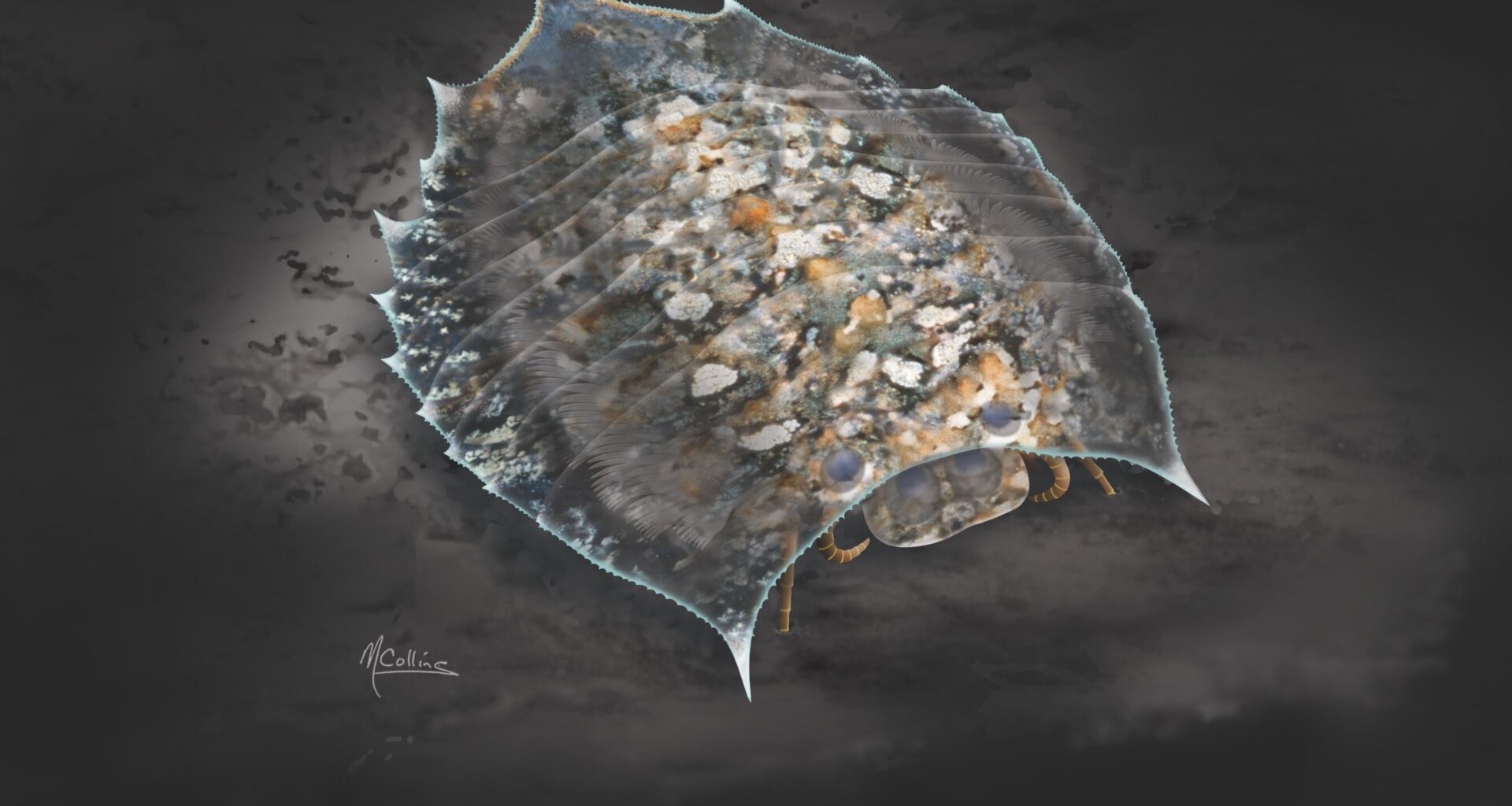 Ancient fossil sheds big light on evolution enigma, solving a 100-year arthropod mystery