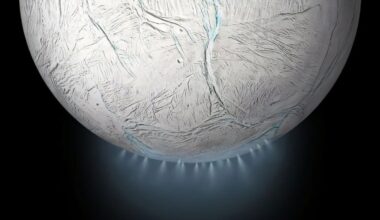 The search for biosignatures in Enceladus' plumes