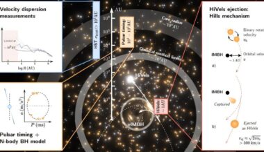This star might have been thrown out of a globular cluster by an intermediate mass black hole