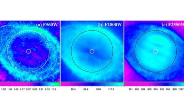 JWST observations detect dusty disk around the central star of Ring Nebula