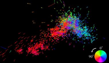 Our closest neighboring galaxy may be being torn apart
