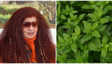 Shahnaz Husain reveals her natural home remedy to clear blemishes using mint leaves; check out her ‘simple’ hack | Health
