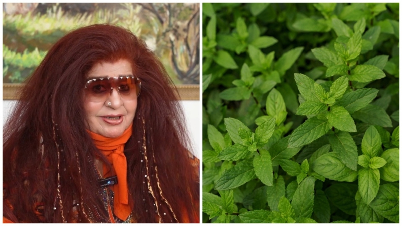 Shahnaz Husain reveals her natural home remedy to clear blemishes using mint leaves; check out her ‘simple’ hack | Health