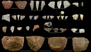 Ancient tools from a South African cave reveal connections between prehistoric people