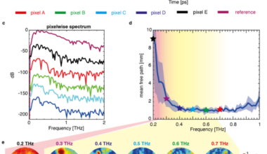 Terahertz microscopy through complex media
