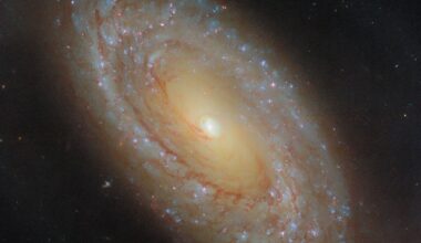 Hubble studies a nearby galaxy's star formation