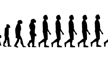 Genetic study reveals hidden chapter in human evolution