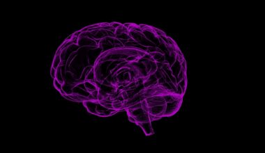 Puberty triggers brain rewiring in genetic condition tied to autism, mouse study suggests