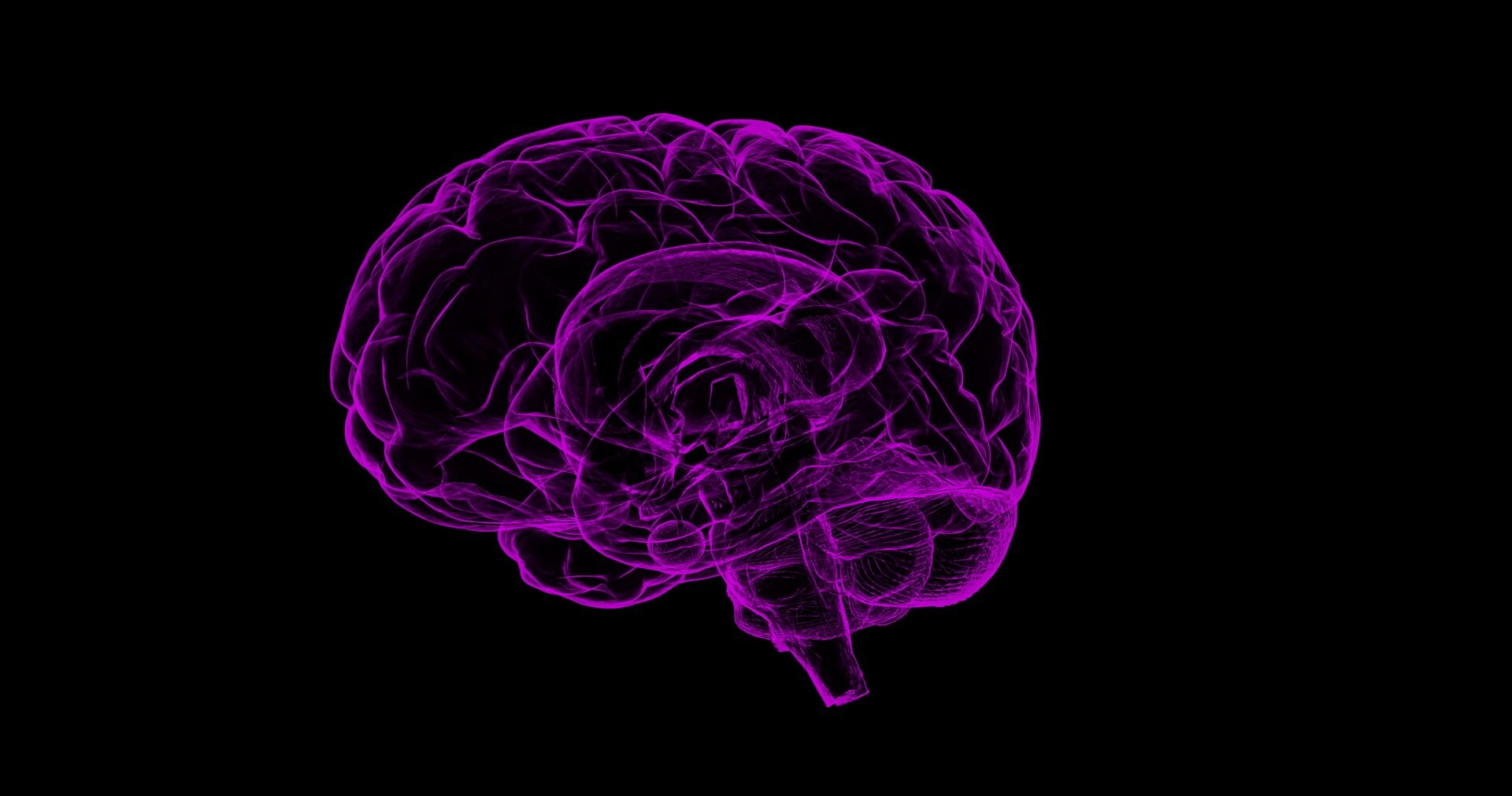 Puberty triggers brain rewiring in genetic condition tied to autism, mouse study suggests