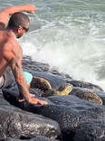 Man Braves Crashing Waves To Save A Hopelessly Trapped Sea Turtle