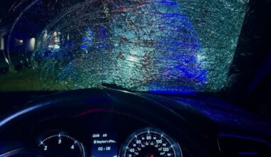 Ballymoney: Cow is put down after collision with car