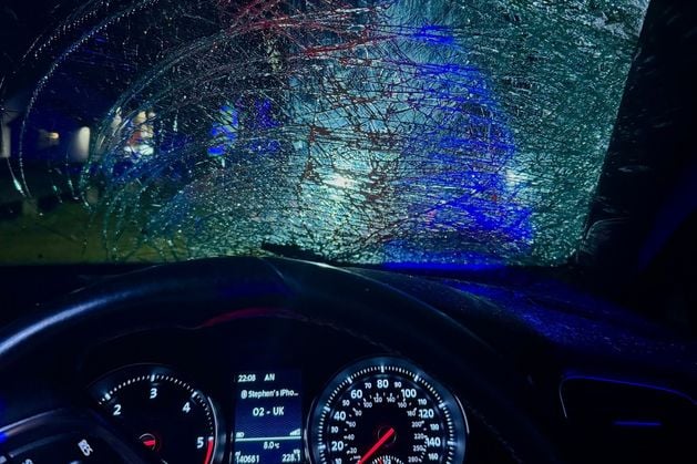 Ballymoney: Cow is put down after collision with car