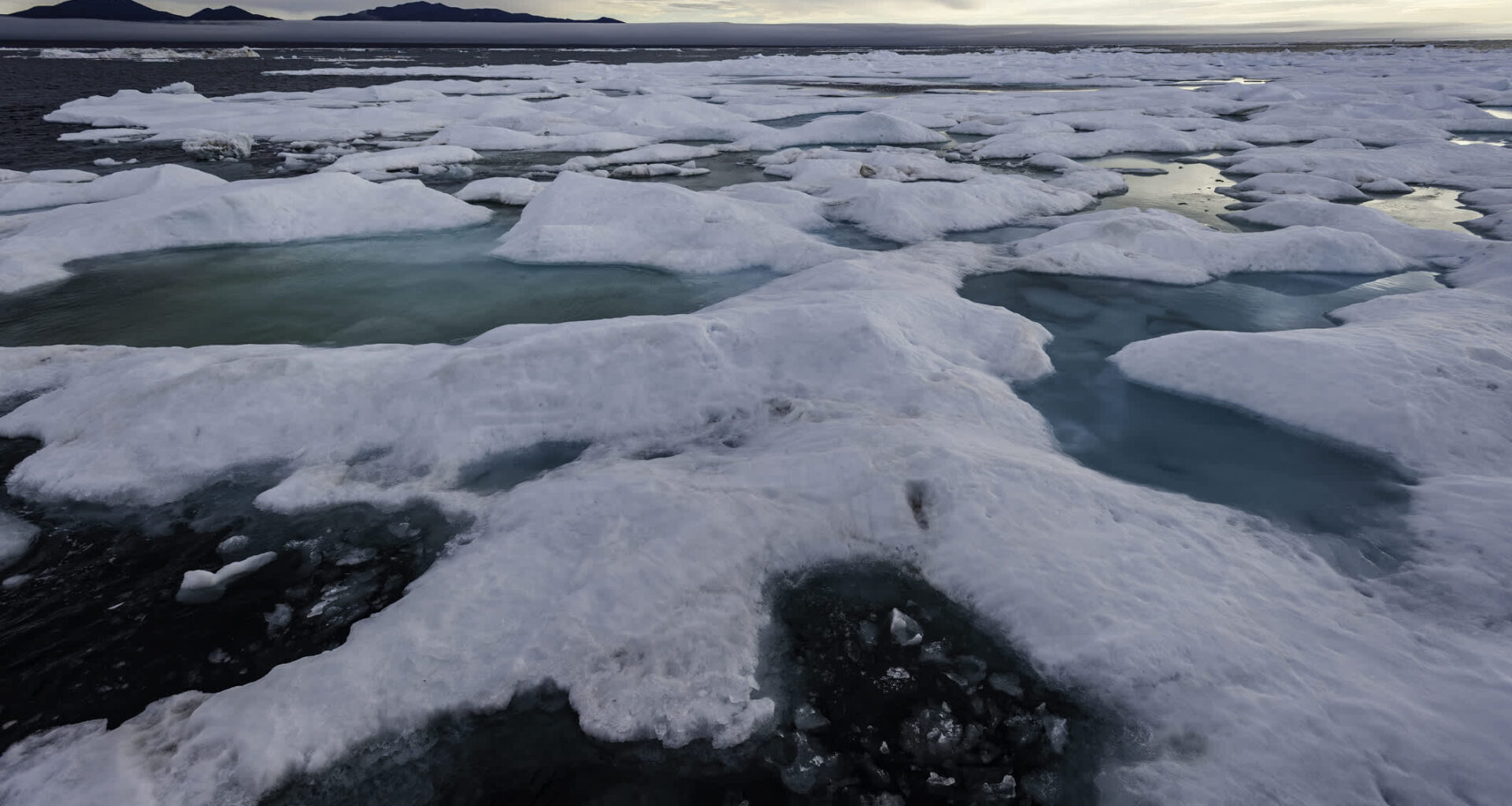 "Important ecological consequences."