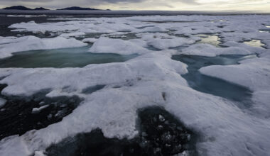 "Important ecological consequences."