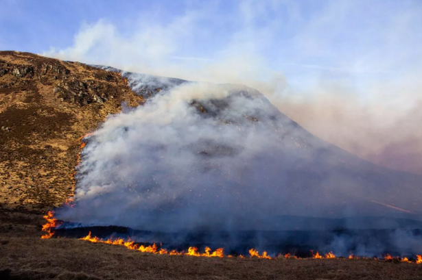 The wildfire on the Isle of Arran
