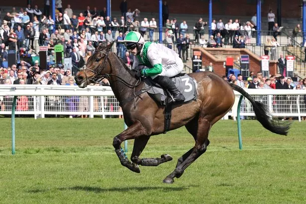 Wilful, ridden by Jonjo O'Neill Jr, won the first race of te day at Ayr