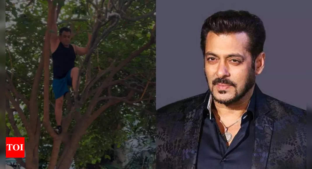 Salman Khan leaves the internet stunned as he displays his agility by climbing a tree, shuts down trolls commenting on his fitness post 'Sikandar' release - WATCH VIDEO | Hindi Movie News