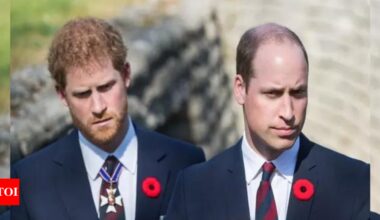 Prince William Harry Relationship: Did Prince William extend an olive branch to Harry in a brief message in 2022?