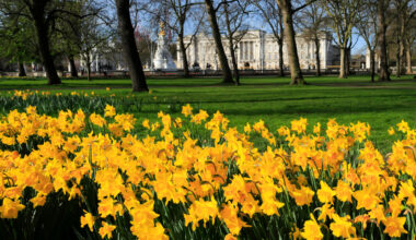 Full London Forecast For Four-Day Weekend