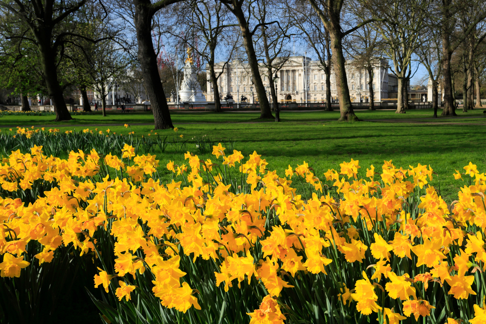 Full London Forecast For Four-Day Weekend