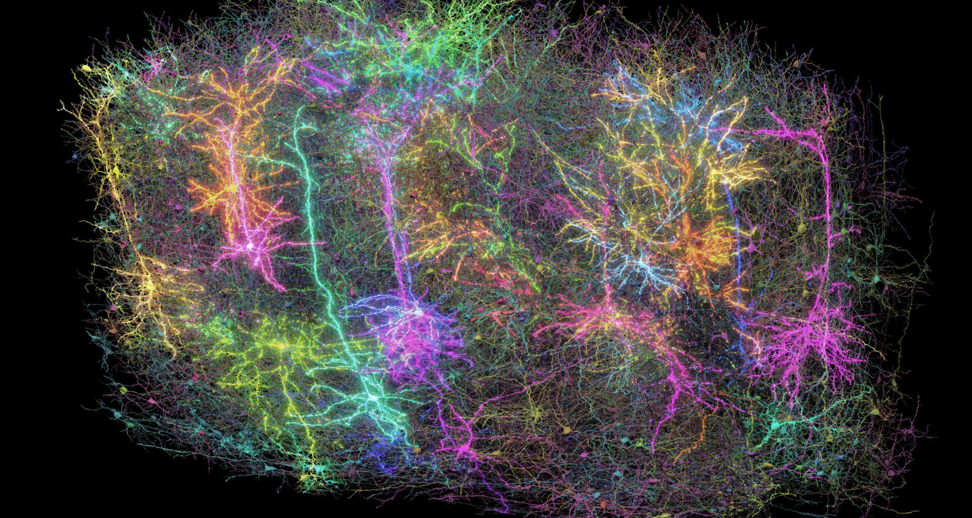 Huge eruptions from a black hole; the largest-ever functional brain map; origins of human musicality
