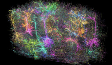 Huge eruptions from a black hole; the largest-ever functional brain map; origins of human musicality